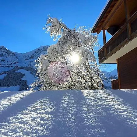 Steinmattli Adelboden