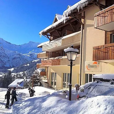 Steinmattli Adelboden
