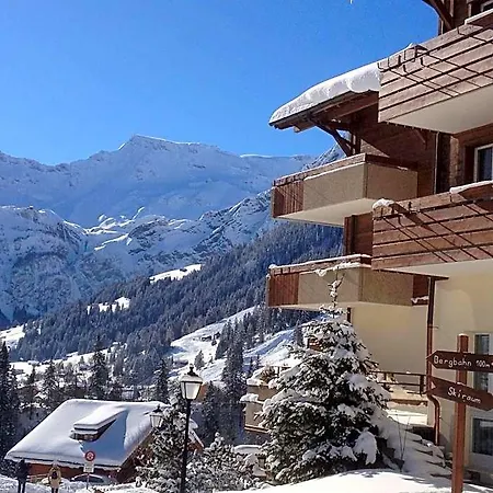 Hotel Steinmattli Adelboden