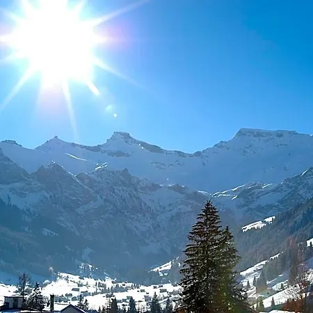 Hotel Steinmattli Adelboden