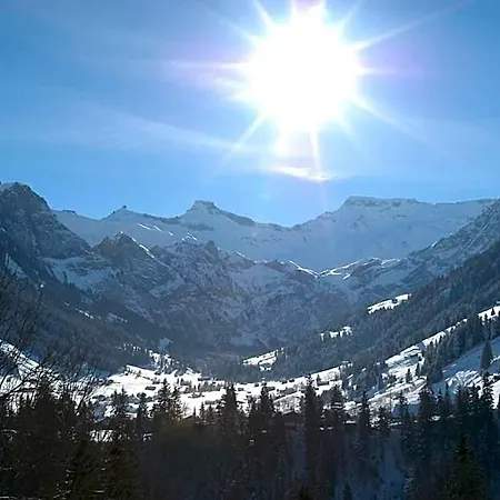 Steinmattli Adelboden