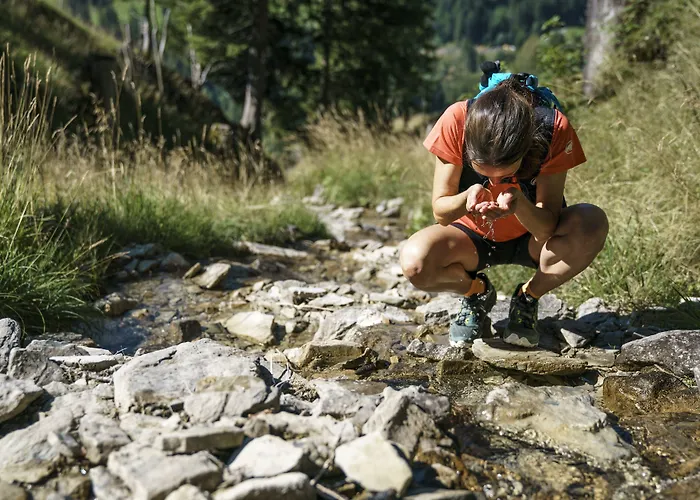Steinmattli Adelboden