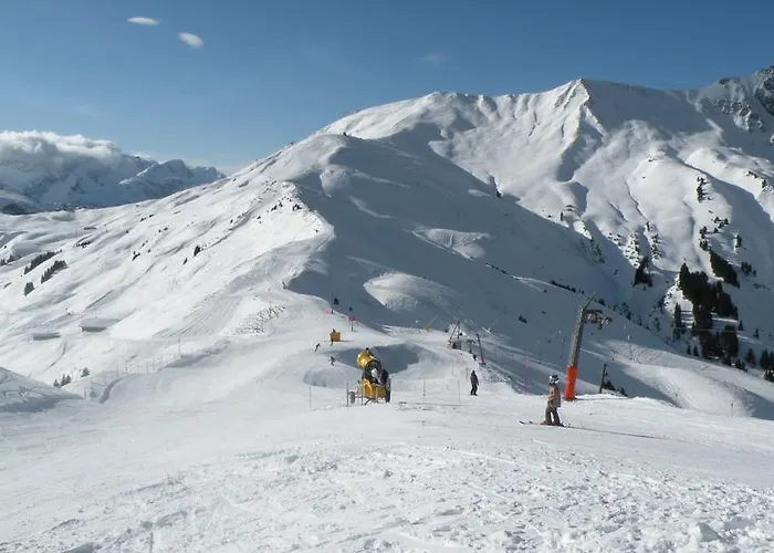 Hotel Steinmattli Adelboden