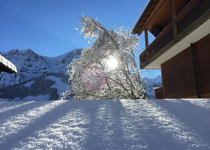 Steinmattli Hotel 4*