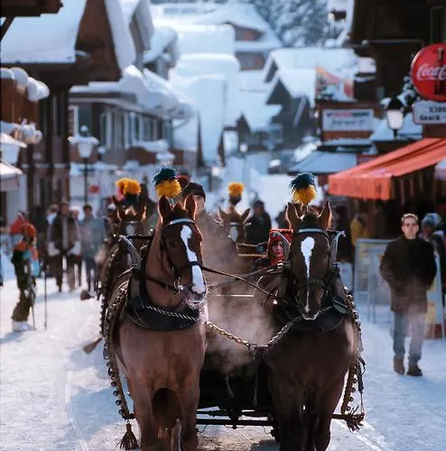 Steinmattli Hotel 4*