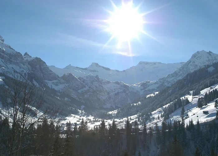 Hotel Steinmattli Adelboden