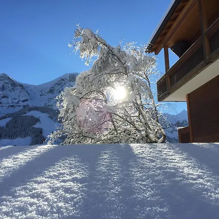 Steinmattli מלון 4*