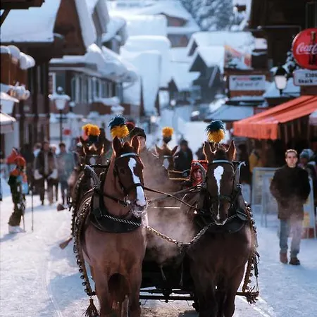 Steinmattli מלון 4*