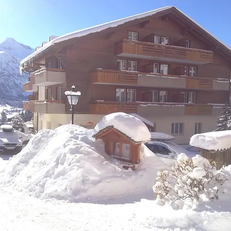 Steinmattli מלון 4*