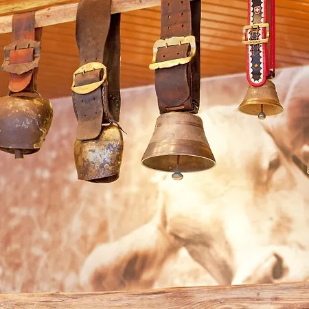 Steinmattli 4* אדלבודן