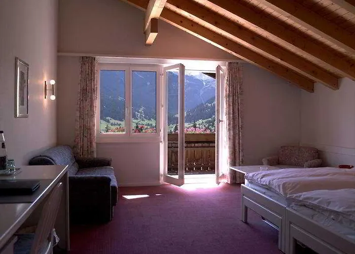 Hotel Steinmattli 4*