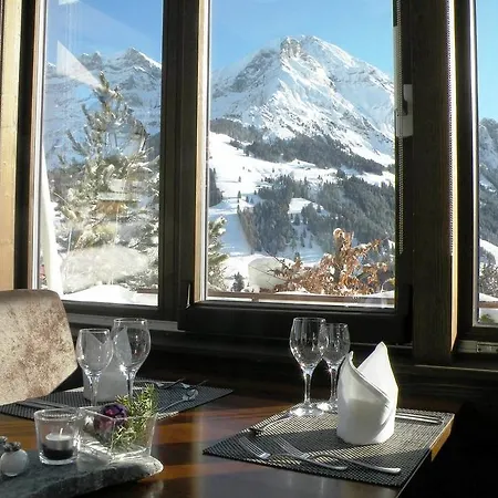 Steinmattli 4* Adelboden