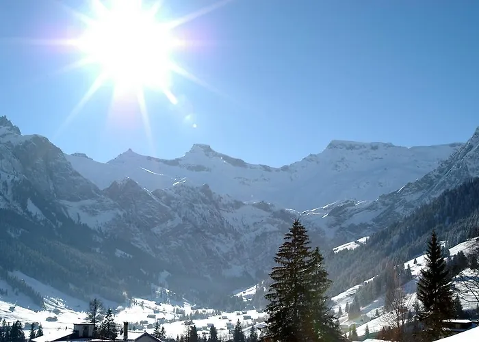 Steinmattli Hotel Adelboden