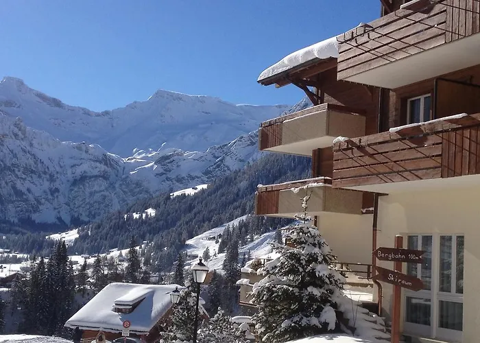 Steinmattli Adelboden